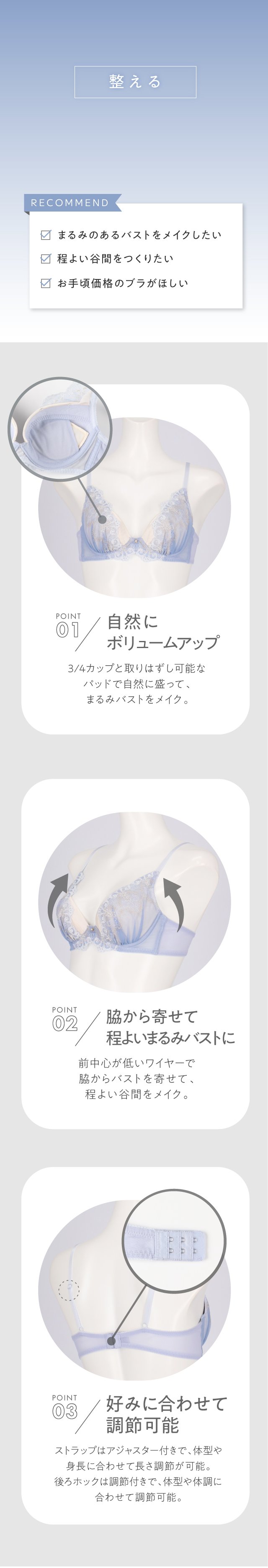 BLH314 整える 商品説明