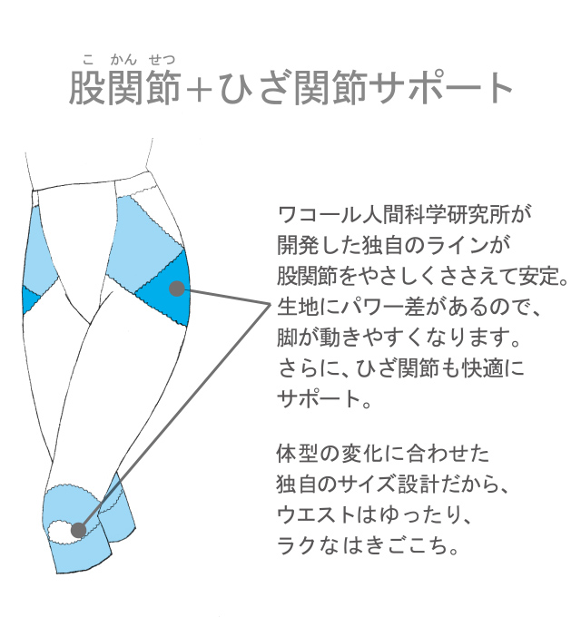 股関節(こかんせつ)+ひざ関節サポート
