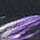 ＰＵ