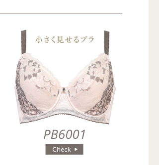 PB6001SP 6000series Bra
