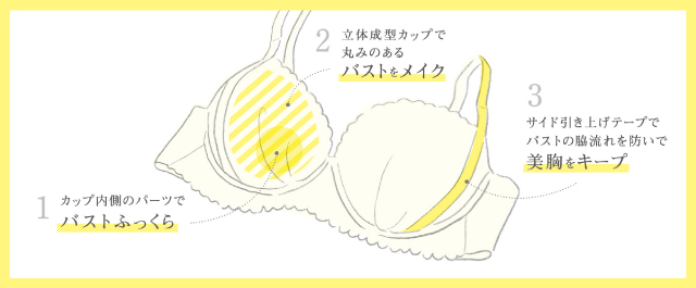 理想のノンワイヤーブラ 機能説明