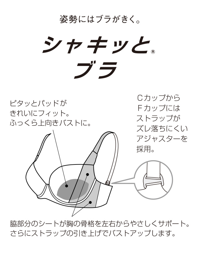 シャッキッとブラ 機能説明