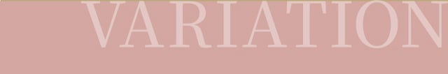 バリエーション