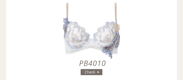 PB4010