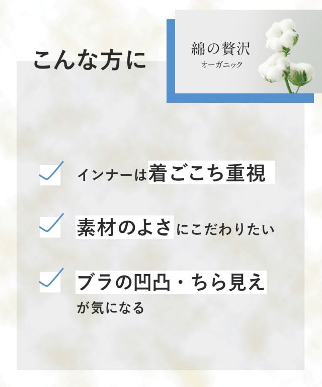 EL1161 商品説明