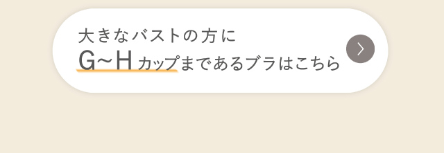 リンクボタン G〜Hカップまであるブラ