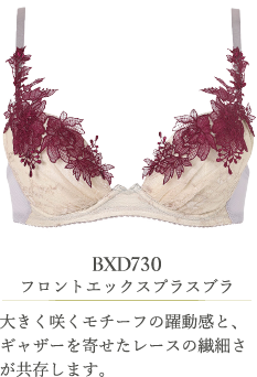 BXD730 フロントエックスプラスブラ