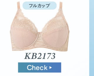 フルカップブラ KB2173