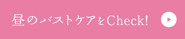 昼のバストケア リンクボタン