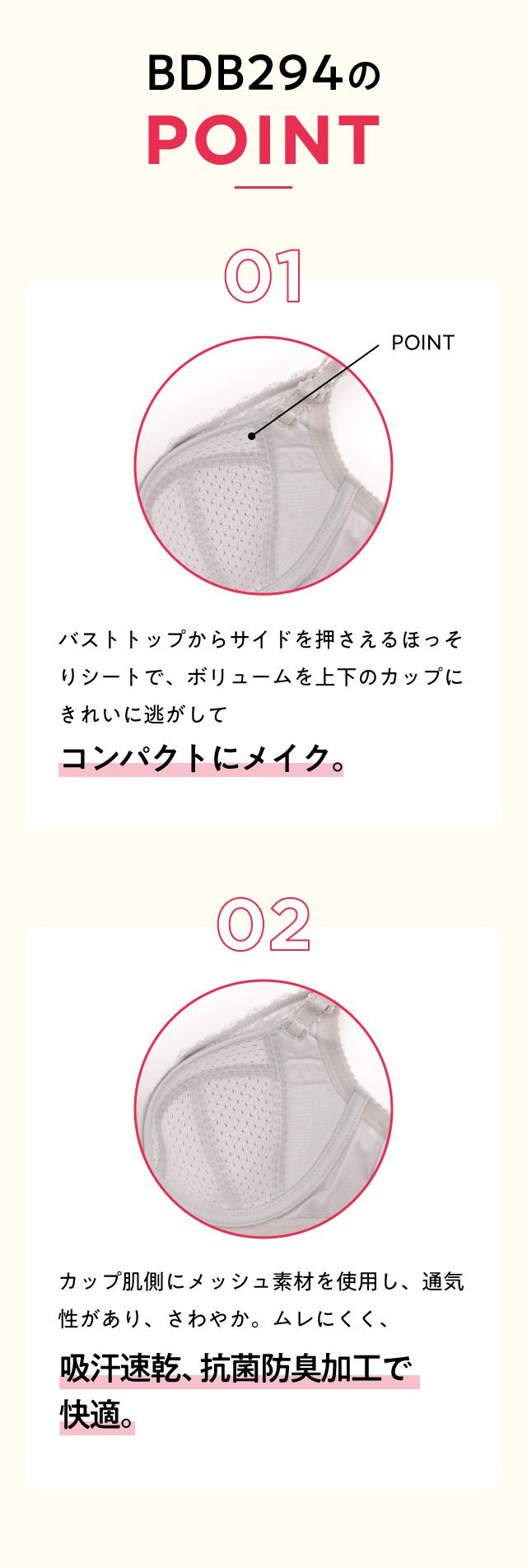 BDB294のPOINT 機能説明