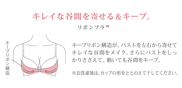 重力に負けないバストケアBra 着用比較　機能説明
