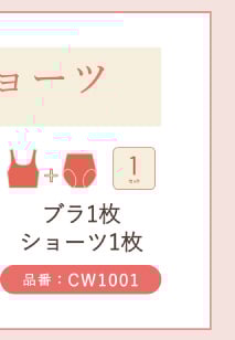リンクボタン ブラ&ショーツセット CW1001