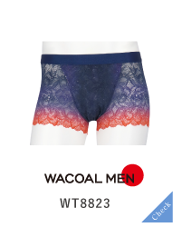 WT8823