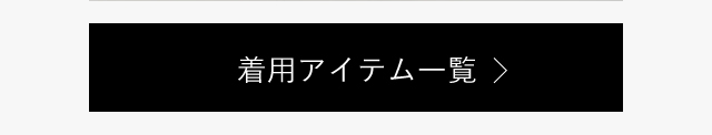 着用アイテム一覧