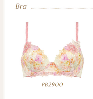 Bra PB2900