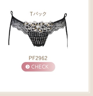 商品リンク PF2962