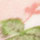 ピンク（ＰＩ）