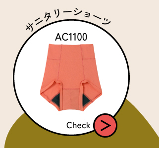 AC1100