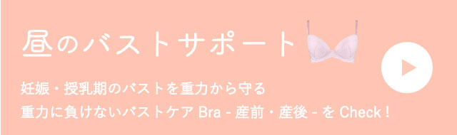 昼のバストサポート リンクバナー