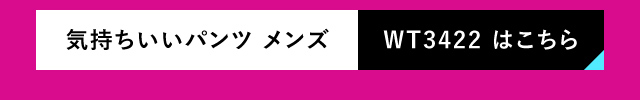 気持ちいいパンツ　メンズ　WT3422　はこちら