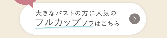 リンクボタン フルカップブラ