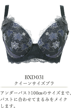 BXD031 クイーンサイズブラ