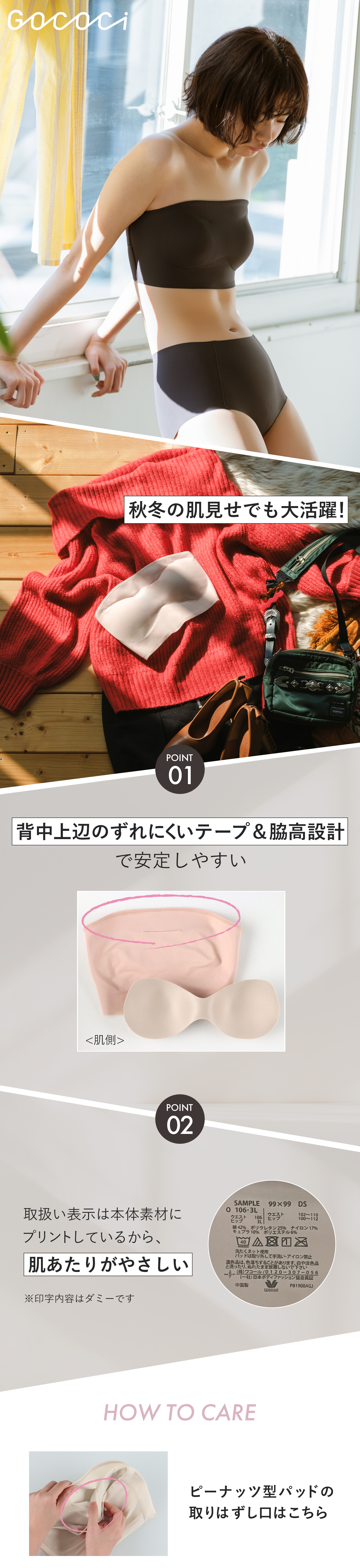 GOCOCi　CGG583 機能説明