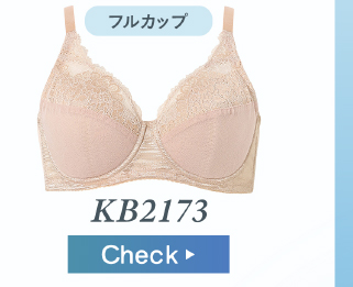 フルカップブラ KB2173