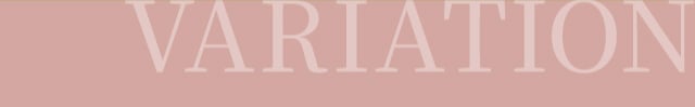 バリエーション