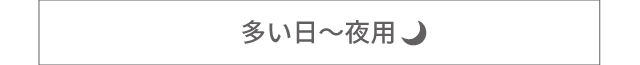 多い日〜夜用