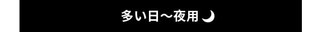 多い日〜夜用