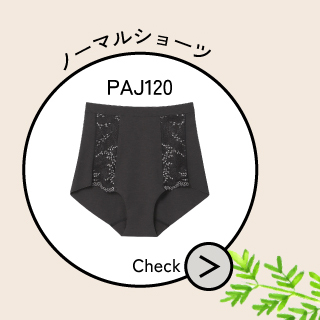 PAJ120