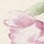 アイボリー（ＢＥ）