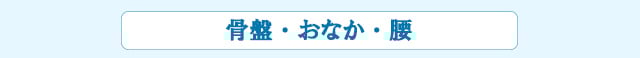 骨盤・おなか・腰