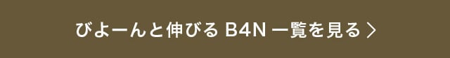 B4N一覧を見る