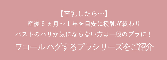ワコールハグするブラシリーズをご紹介