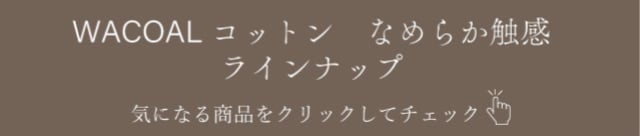 ラインナップ