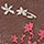 ブラウン（ＢＲ）