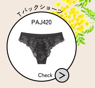 PAJ420
