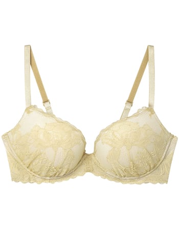 アンフィ　ホールドデイブラ