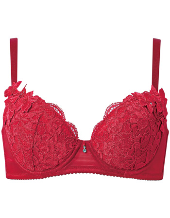 女優Bra