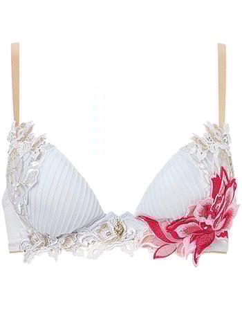 フロントエックスプラスブラ