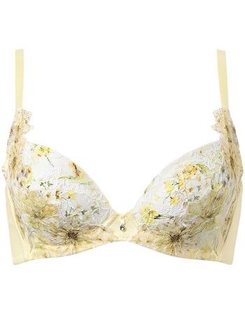 ワコール　ハグするブラ