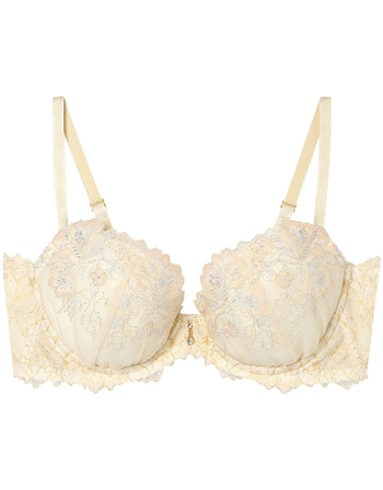 アンフィ　ホールドデイブラ