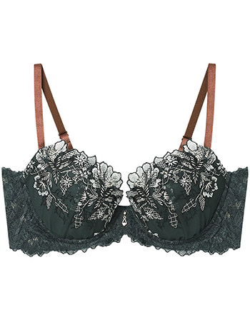 アンフィ　ホールドデイブラ