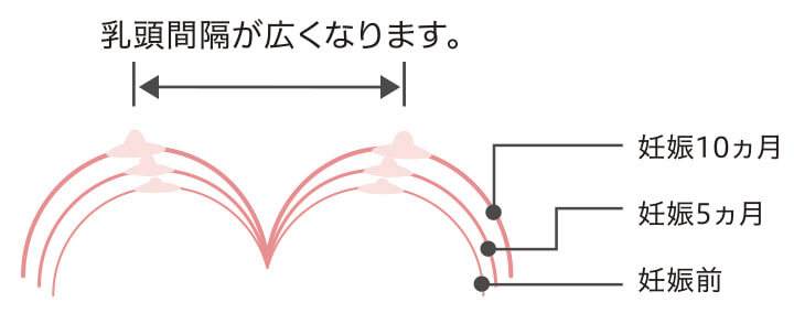 姙娠前後のバストの変化