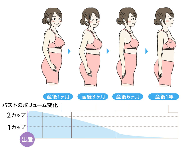 出産から産後1年まで、ラインの変化