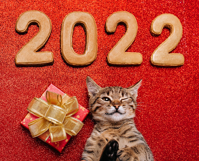 2022年を最高の1年に♡【みんなでつくる知恵袋ひろば】