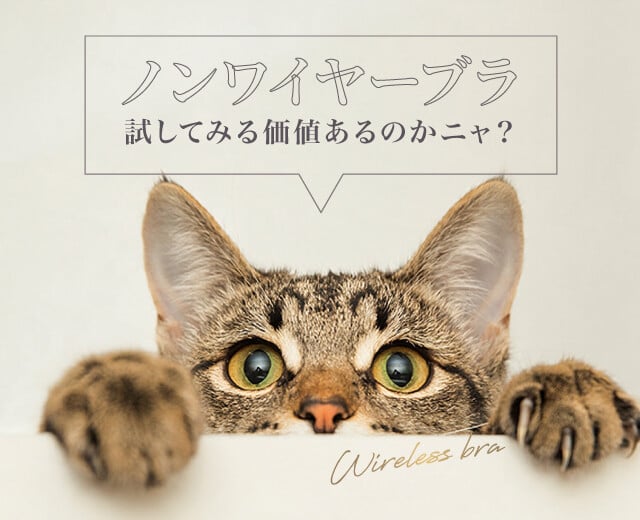最近気になる「ノンワイヤーブラ」。試してみる価値あるのかニャ？